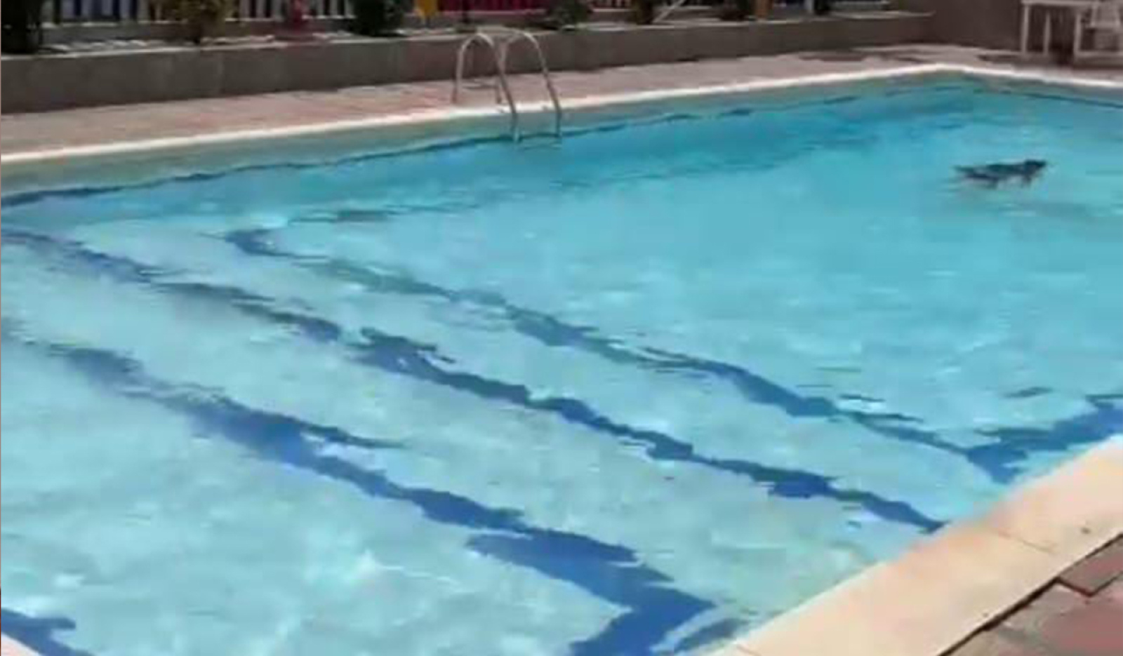 SAN JOSE, Barranquilla, 1 Dormitorio Habitaciones, ,2 BathroomsBathrooms,Apartamento,En Venta,0,1219